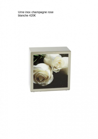 Urne inox champagne rose blanche